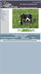 Mobile Screenshot of border-collie.liebert.info